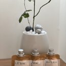 르보네르 | 퍼퓸 핸드크림 추천 향이 오래가는 핸드크림 르보네르 내돈내산 후기