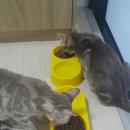 호텔 오레 이미지