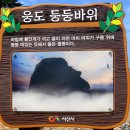 2025년12월23일(화)서산웅도 둘레길 &amp; 당진 장고항일몰 이미지