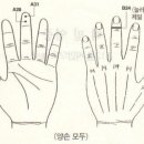 수지침 이미지