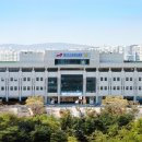 245 국제뉴스