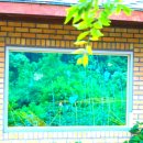 개구리집 이미지