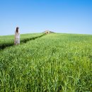 보리목장 이미지