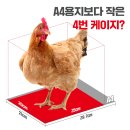 영수한우농장 | 계란 정기구독 삼초마을은 왜 계란오마카세 팝업을 열었나