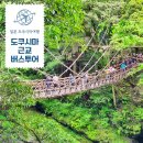 도쿠시마 일일 버스투어 추천 오보케협곡 카즈라바시 하루하루투어