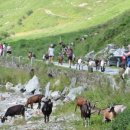 석연농장 이미지