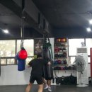 와룡복싱 이미지