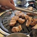 뚱돼지생고기 이미지