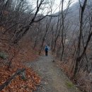 효성메디팜 이미지