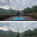 하타요가 기초(All Level) | 발리 우붓 요가 추천｜숲속에서 숨 쉬는 시간, 파드마리조트 우붓 요가 후기