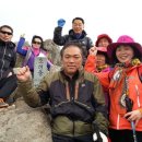 내곡동637 이미지