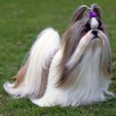 25시종합동물병원 이미지