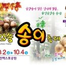 송이촌 네이버블로그