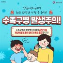 수족구병 환자의 어린이집 복귀 기준 안내 및 수족구 관련 안내 이미지