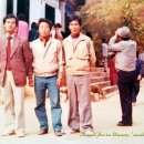 증도초등학교 이미지