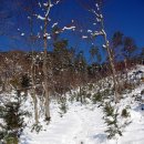 하얀천국 이미지