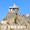 해광사 | 부산 기장 해광사 오랑대 뚜벅이 여행 바다 사찰 겨울 데이트 방문 후기