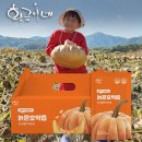 호박 | 황금이네 늙은 호박즙 내돈내산 후기 수술 후 붓기에 좋은 음식