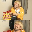 핫독애견백화점 이미지