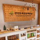 생각나무자연학교 | 광양 아이와 가볼만한곳 백운산 자연휴양림 목재문화체험장 산림박물관