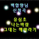 백합향님 신청곡. 유심초-나는 바람 그대는 해바라기. 장윤정-불나비.더원-사랑아 이미지