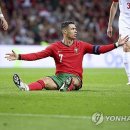 바이시클로 이미지