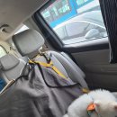 행복펫택시 이미지