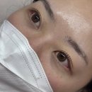 쏠니즈