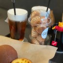 자몽 여성전용 사우나 이미지