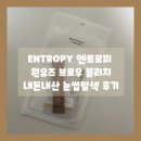 ENTROPY 엔트로피 브로우 블리치 내돈내산 후기 / 눈썹탈색약 추천