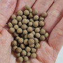 속사 | <속사이다 환> 솔직후기 / 양배추환 / 소화효소 / 소화제환 추천