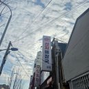 나의 제주집 | [제주]산지해장국 본점 제주 (나의)또간집(feat. 주차, 꿀팁)