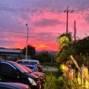 새로이건설(주) | 생명의 빛, 세상의 빛