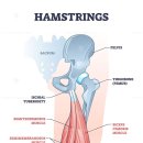 디오필라앤핏 오목교점 이미지