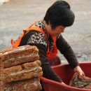 정기민박 이미지