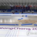 스피드스케이트장 이미지