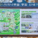원대리 농산물판매장