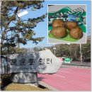 삼남길 따라 걷는 농토길 도심에서 논길을 걸어보다