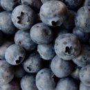 거창농장 이미지