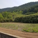 합천부동산공인중개사사무소 이미지