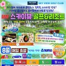 스카이뷰 이미지