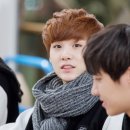 슈가 티스토리