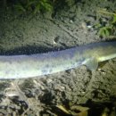 무태스포츠 이미지