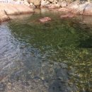 지리산거림계곡 이미지