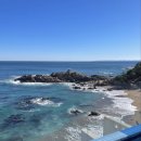 벨마르풀빌라 이미지