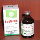 베링거인겔하임동물약품(주) 이미지