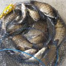 2박3일낚시터 이미지