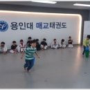 용인대 아이튼튼 태권도장 이미지