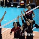 고송희
