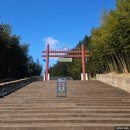 전남도립대학교 | 죽녹원, 피톤치드 가득한 담양 여행 가볼 만한 곳 방문 후기
